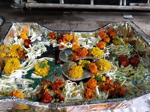 Palakhi Celebrations
