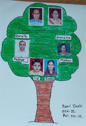 Activity - Family Tree